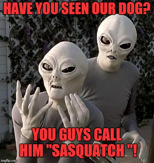 Aliens | HAVE YOU SEEN OUR DOG? YOU GUYS CALL HIM "SASQUATCH "! | image tagged in aliens | made w/ Imgflip meme maker