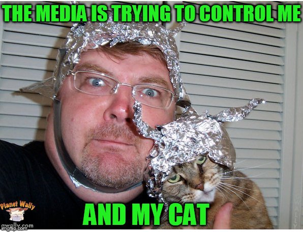 Tinfoil | THE MEDIA IS TRYING TO CONTROL ME AND MY CAT | image tagged in tinfoil | made w/ Imgflip meme maker