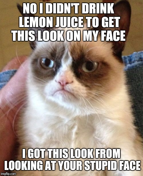 "Grumpy Cat's Weekend" Oct 5th-8th (A socrates and Craziness_all_the_way event) | NO I DIDN'T DRINK LEMON JUICE TO GET THIS LOOK ON MY FACE; I GOT THIS LOOK FROM LOOKING AT YOUR STUPID FACE | image tagged in memes,grumpy cat,angry,mad face,funny | made w/ Imgflip meme maker