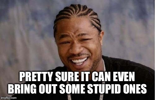 Yo Dawg Heard You Meme | PRETTY SURE IT CAN EVEN BRING OUT SOME STUPID ONES | image tagged in memes,yo dawg heard you | made w/ Imgflip meme maker