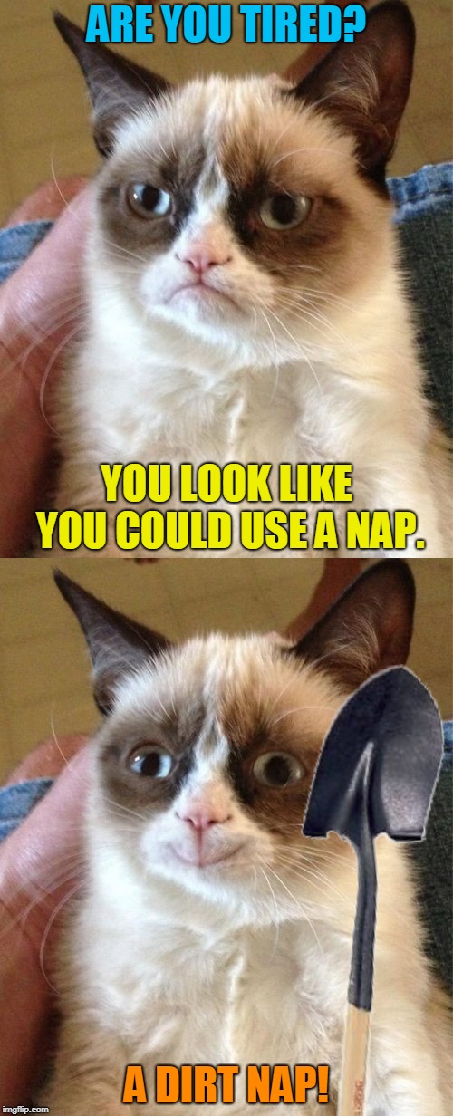 You're Grounded! When Bad Construction Week meets Grumpy Cat Weekend (just pick an event)! |  ARE YOU TIRED? YOU LOOK LIKE YOU COULD USE A NAP. A DIRT NAP! | image tagged in memes,grumpy cat,grumpy cat smile,grumpy cat weekend,bad construction week,shovel | made w/ Imgflip meme maker