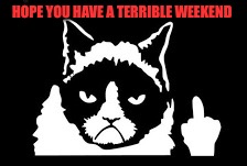Grumpy Cat Weekend by Craziness_all_the_way and socrates  | HOPE YOU HAVE A TERRIBLE WEEKEND | image tagged in grumpy cat,craziness_all_the_way,socrates,memes | made w/ Imgflip meme maker