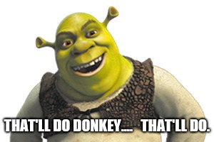 Shrek | THAT'LL DO DONKEY....   THAT'LL DO. | image tagged in memes | made w/ Imgflip meme maker