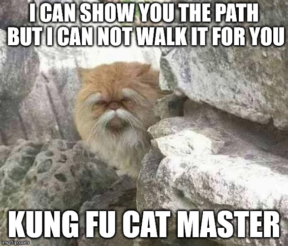 Kung Fu Cat | I CAN SHOW YOU THE PATH BUT I CAN NOT WALK IT FOR YOU; KUNG FU CAT MASTER | image tagged in kung fu cat,memes,wisdom | made w/ Imgflip meme maker