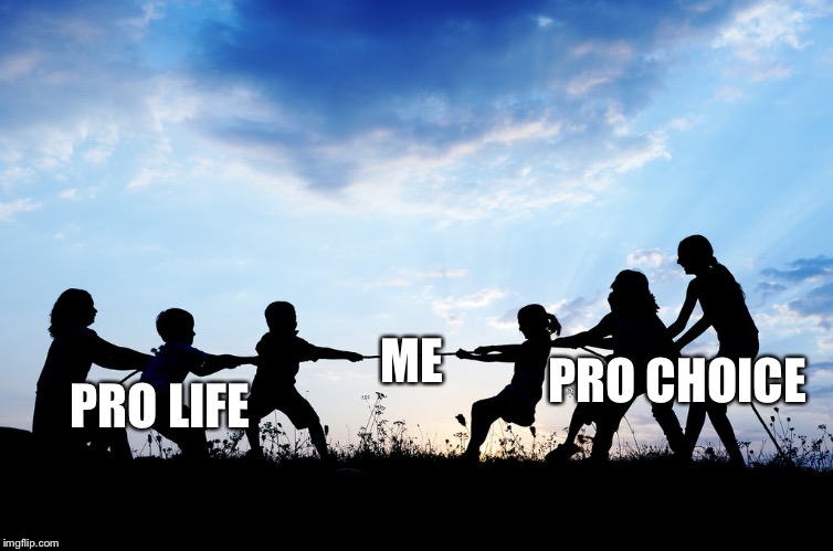 Tug of War | ME; PRO CHOICE; PRO LIFE | image tagged in tug of war | made w/ Imgflip meme maker