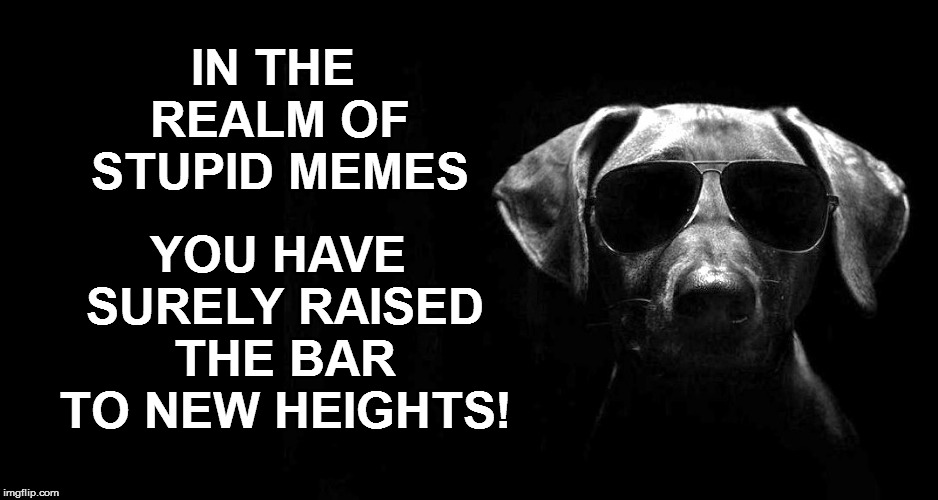 IN THE REALM OF STUPID MEMES YOU HAVE SURELY RAISED THE BAR TO NEW HEIGHTS! | made w/ Imgflip meme maker