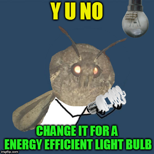 Wise Moth Says... |  Y U NO; CHANGE IT FOR A ENERGY EFFICIENT LIGHT BULB | image tagged in memes,y u no,moth,light bulb,energy efficient,moths | made w/ Imgflip meme maker