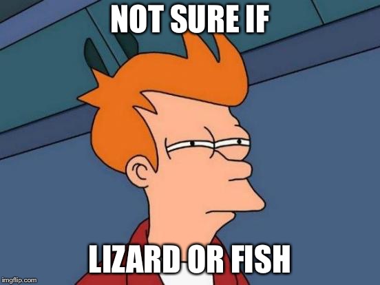 Futurama Fry Meme | NOT SURE IF LIZARD OR FISH | image tagged in memes,futurama fry | made w/ Imgflip meme maker