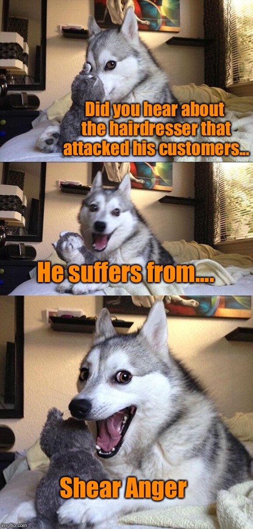 Bad Pun Dog Meme | Did you hear about the hairdresser that attacked his customers... He suffers from.... Shear Anger | image tagged in memes,bad pun dog,hairdresser,funny | made w/ Imgflip meme maker