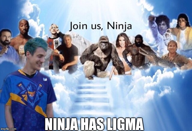 Ligma | NINJA HAS LIGMA | image tagged in ligma,ninja | made w/ Imgflip meme maker