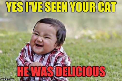 Evil Toddler Meme | YES I'VE SEEN YOUR CAT HE WAS DELICIOUS | image tagged in memes,evil toddler | made w/ Imgflip meme maker