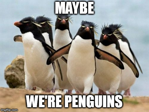 Penguin Gang Meme | MAYBE WE'RE PENGUINS | image tagged in memes,penguin gang | made w/ Imgflip meme maker