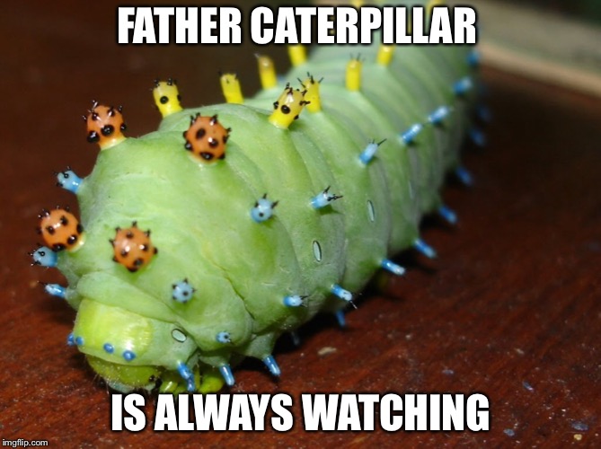 Beware... | FATHER CATERPILLAR; IS ALWAYS WATCHING | image tagged in caterpillar | made w/ Imgflip meme maker