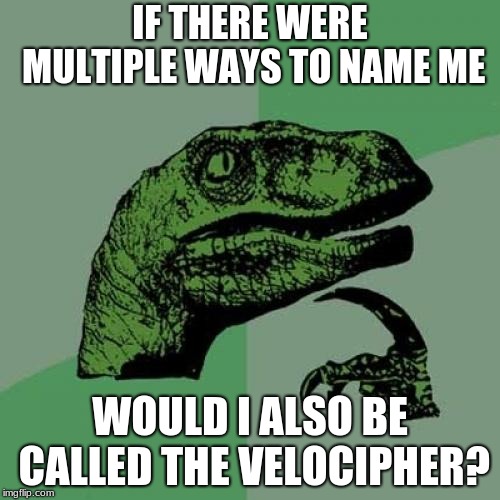 Philosoraptor | IF THERE WERE MULTIPLE WAYS TO NAME ME; WOULD I ALSO BE CALLED THE VELOCIPHER? | image tagged in memes,philosoraptor | made w/ Imgflip meme maker