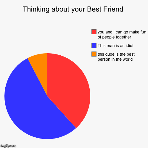 Thinking about your best friend | Thinking about your Best Friend | this dude is the best person in the world, This man is an idiot, you and i can go make fun of people toget | image tagged in funny,pie charts,guys,best friend | made w/ Imgflip chart maker