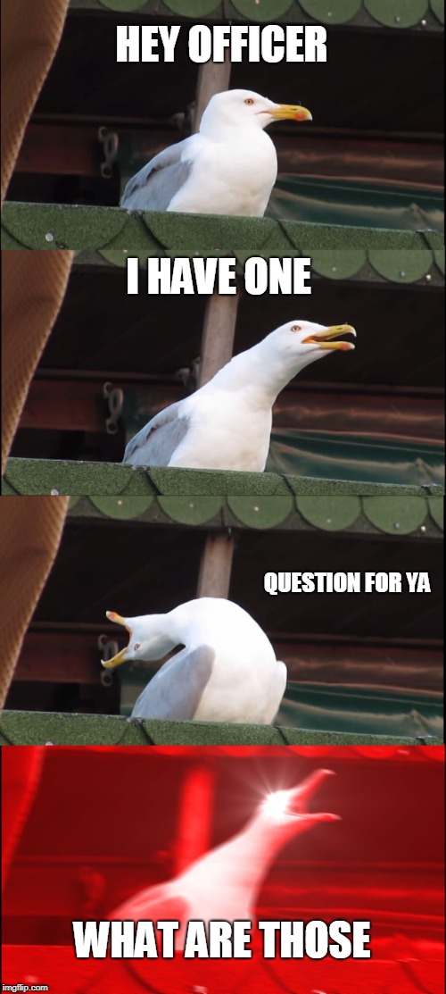 Inhaling Seagull | HEY OFFICER; I HAVE ONE; QUESTION FOR YA; WHAT ARE THOSE | image tagged in memes,inhaling seagull | made w/ Imgflip meme maker