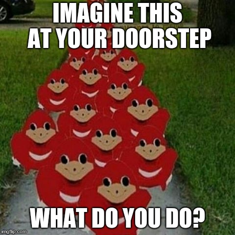 Ugandan knuckles army | IMAGINE THIS AT YOUR DOORSTEP; WHAT DO YOU DO? | image tagged in ugandan knuckles army | made w/ Imgflip meme maker