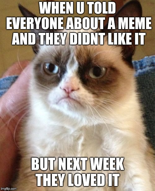 Grumpy Cat | WHEN U TOLD EVERYONE ABOUT A MEME AND THEY DIDNT LIKE IT; BUT NEXT WEEK THEY LOVED IT | image tagged in memes,grumpy cat | made w/ Imgflip meme maker