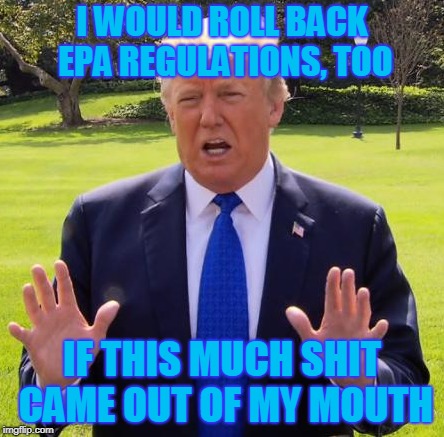 Trump EPA |  I WOULD ROLL BACK EPA REGULATIONS, TOO; IF THIS MUCH SHIT CAME OUT OF MY MOUTH | image tagged in donald trump,environmental protection agency | made w/ Imgflip meme maker