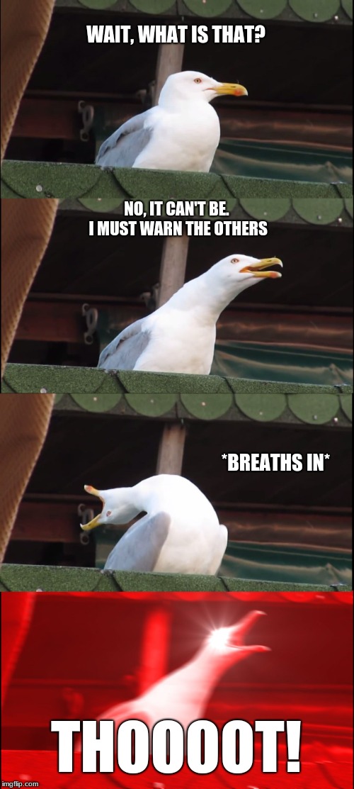 Inhaling Seagull | WAIT, WHAT IS THAT? NO, IT CAN'T BE. I MUST WARN THE OTHERS; *BREATHS IN*; THOOOOT! | image tagged in memes,inhaling seagull | made w/ Imgflip meme maker