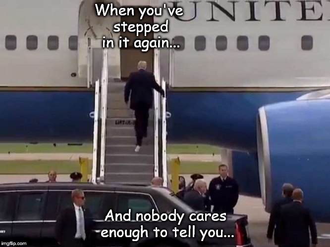 When you've stepped in it again... And nobody cares enough to tell you... | image tagged in trump,toilet paper,liberal,democrat,resistance | made w/ Imgflip meme maker