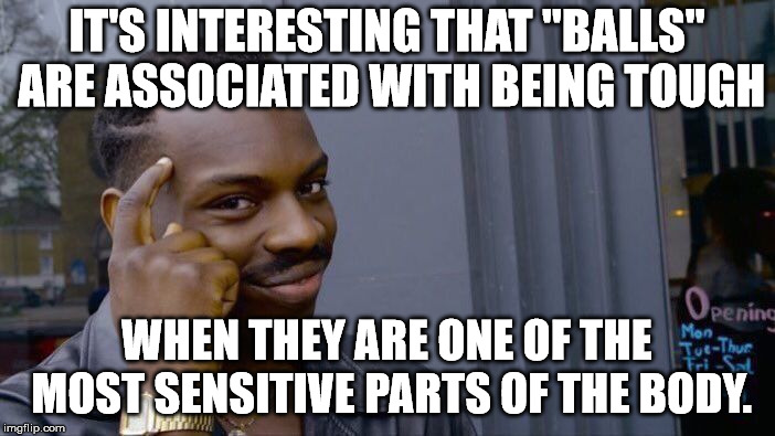 Roll Safe Think About It Meme |  IT'S INTERESTING THAT "BALLS" ARE ASSOCIATED WITH BEING TOUGH; WHEN THEY ARE ONE OF THE MOST SENSITIVE PARTS OF THE BODY. | image tagged in memes,roll safe think about it | made w/ Imgflip meme maker