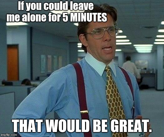 That Would Be Great Meme | If you could leave me alone for 5 MINUTES; THAT WOULD BE GREAT. | image tagged in memes,that would be great | made w/ Imgflip meme maker