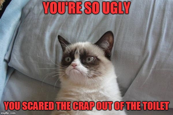 Grumpy Cat Bed Meme | YOU'RE SO UGLY; YOU SCARED THE CRAP OUT OF THE TOILET | image tagged in memes,grumpy cat bed,grumpy cat | made w/ Imgflip meme maker