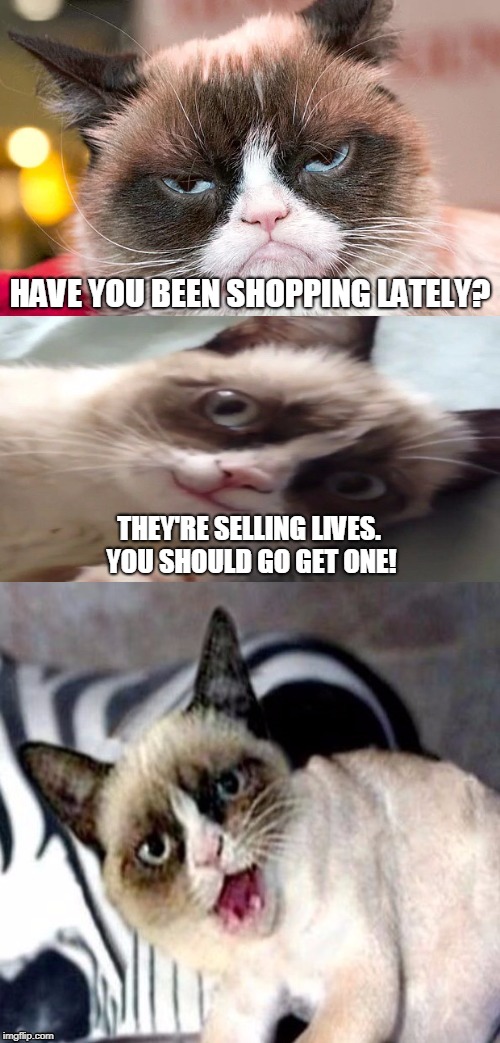 Bad Pun Grumpy Cat | HAVE YOU BEEN SHOPPING LATELY? THEY'RE SELLING LIVES. YOU SHOULD GO GET ONE! | image tagged in bad pun grumpy cat | made w/ Imgflip meme maker