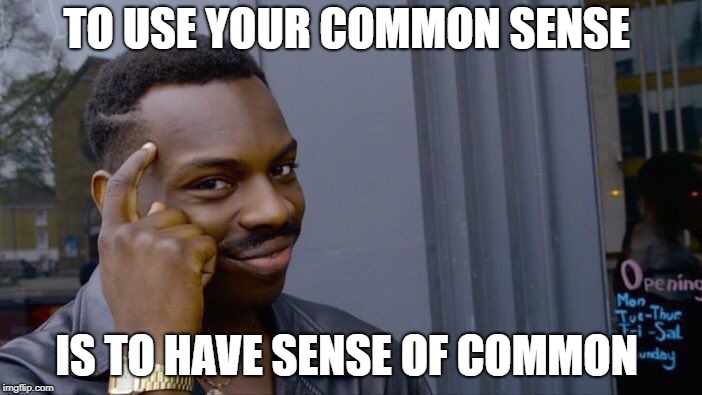 Roll Safe Think About It | TO USE YOUR COMMON SENSE; IS TO HAVE SENSE OF COMMON | image tagged in memes,roll safe think about it,common sense | made w/ Imgflip meme maker