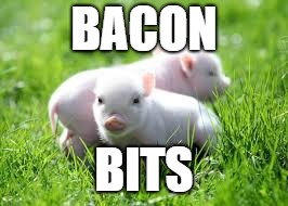 BACON; BITS | image tagged in animal meme | made w/ Imgflip meme maker
