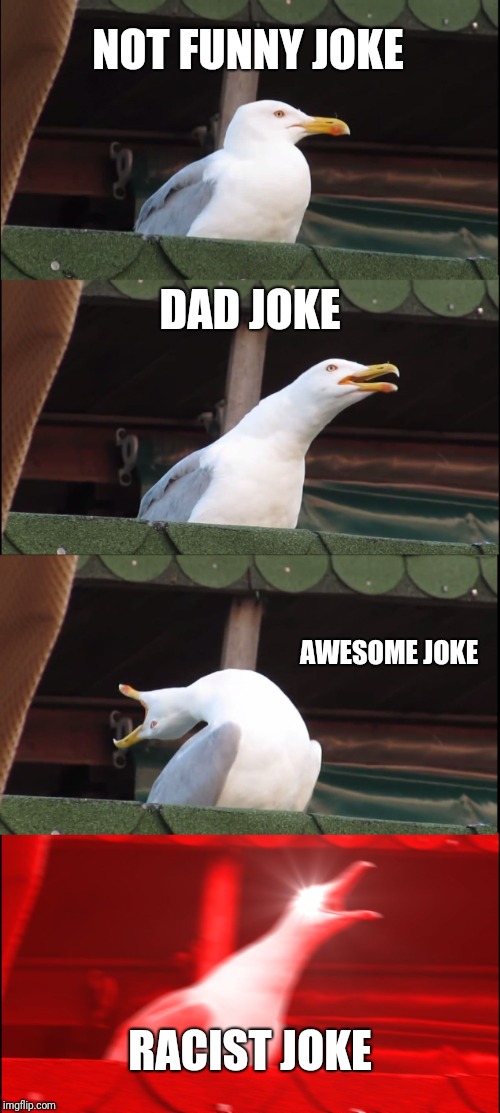Inhaling Seagull Meme | NOT FUNNY JOKE; DAD JOKE; AWESOME JOKE; RACIST JOKE | image tagged in memes,inhaling seagull | made w/ Imgflip meme maker