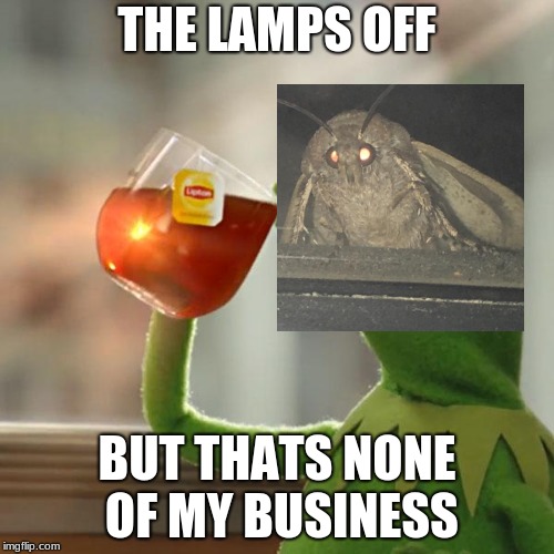 But That's None Of My Business Meme | THE LAMPS OFF; BUT THATS NONE OF MY BUSINESS | image tagged in memes,but thats none of my business,kermit the frog | made w/ Imgflip meme maker