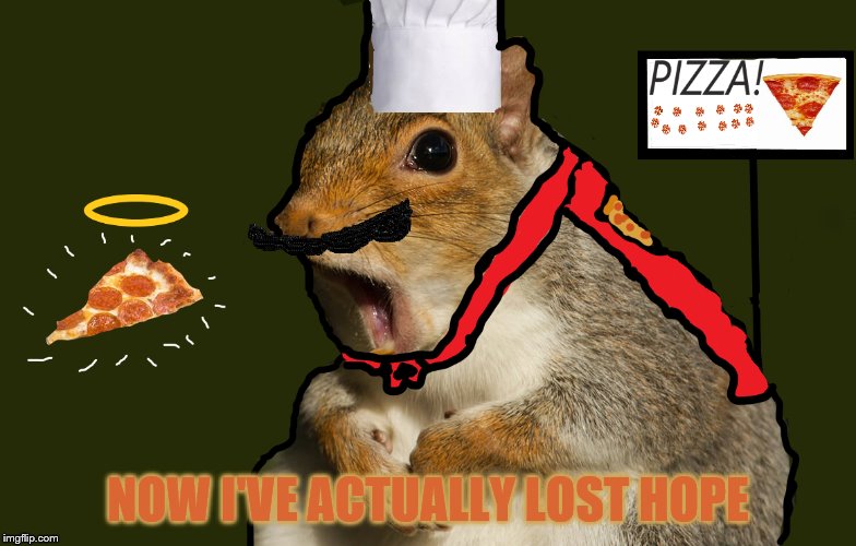 When you lose hope | NOW I'VE ACTUALLY LOST HOPE | image tagged in plz,no,squirrel,memes,pizza,meme | made w/ Imgflip meme maker