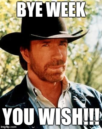 Chuck Norris | BYE WEEK; YOU WISH!!! | image tagged in chuck norris | made w/ Imgflip meme maker