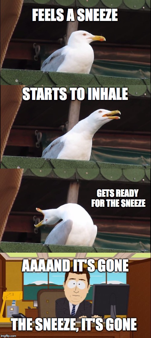 I hate when that happens! | FEELS A SNEEZE; STARTS TO INHALE; GETS READY FOR THE SNEEZE; AAAAND IT'S GONE; THE SNEEZE, IT'S GONE | image tagged in memes,inhaling seagull,aaaaand its gone | made w/ Imgflip meme maker