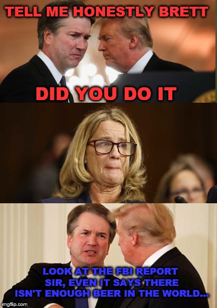 I'm sure I'll get hate.  | TELL ME HONESTLY BRETT; DID YOU DO IT; LOOK AT THE FBI REPORT SIR, EVEN IT SAYS THERE ISN'T ENOUGH BEER IN THE WORLD... | image tagged in memes,brett kavanaugh,christine blasey ford,beer,proof of the smear | made w/ Imgflip meme maker