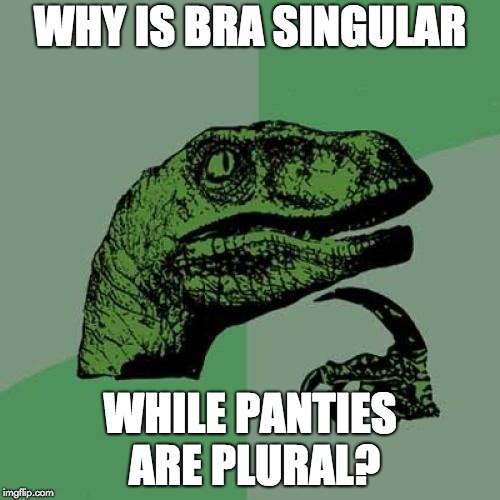 Philosoraptor Meme | WHY IS BRA SINGULAR; WHILE PANTIES ARE PLURAL? | image tagged in memes,philosoraptor | made w/ Imgflip meme maker