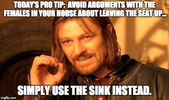 One Does Not Simply Meme | TODAY'S PRO TIP:  AVOID ARGUMENTS WITH THE FEMALES IN YOUR HOUSE ABOUT LEAVING THE SEAT UP... SIMPLY USE THE SINK INSTEAD. | image tagged in memes,one does not simply | made w/ Imgflip meme maker