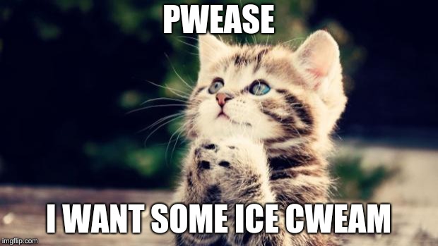 Cute kitten | PWEASE; I WANT SOME ICE CWEAM | image tagged in cute kitten | made w/ Imgflip meme maker