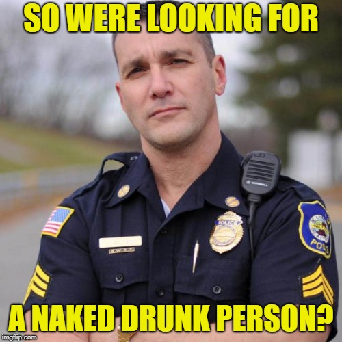 Cop | SO WERE LOOKING FOR A NAKED DRUNK PERSON? | image tagged in cop | made w/ Imgflip meme maker