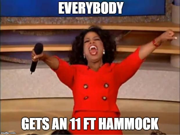 Oprah You Get A Meme | EVERYBODY; GETS AN 11 FT HAMMOCK | image tagged in memes,oprah you get a | made w/ Imgflip meme maker