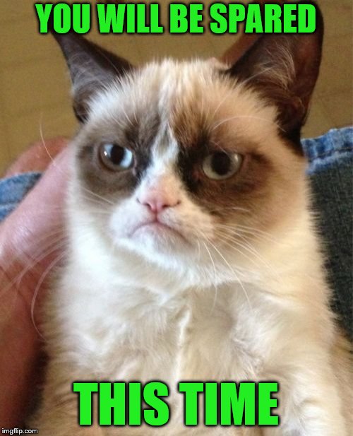 Grumpy Cat Meme | YOU WILL BE SPARED THIS TIME | image tagged in memes,grumpy cat | made w/ Imgflip meme maker