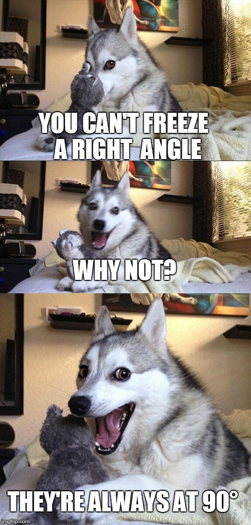 Bad Pun Dog Meme | YOU CAN'T FREEZE  A RIGHT  ANGLE; WHY NOT? THEY'RE ALWAYS AT 90° | image tagged in memes,bad pun dog,funny | made w/ Imgflip meme maker
