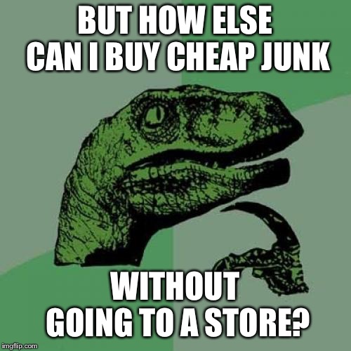 Philosoraptor Meme | BUT HOW ELSE CAN I BUY CHEAP JUNK WITHOUT GOING TO A STORE? | image tagged in memes,philosoraptor | made w/ Imgflip meme maker