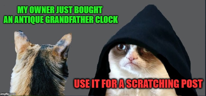 Evil Grumpy 2 ---"Grumpy Cat's Weekend" A socrates and Craziness_all_the_way event. Oct 5th-8th | MY OWNER JUST BOUGHT AN ANTIQUE GRANDFATHER CLOCK; USE IT FOR A SCRATCHING POST | image tagged in funny memes,grumpy cat weekend,socrates,craziness_all_the_way,grumpy cat | made w/ Imgflip meme maker