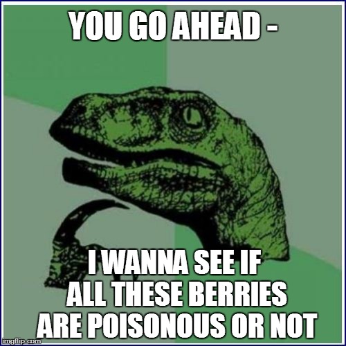 YOU GO AHEAD - I WANNA SEE IF ALL THESE BERRIES ARE POISONOUS OR NOT | made w/ Imgflip meme maker