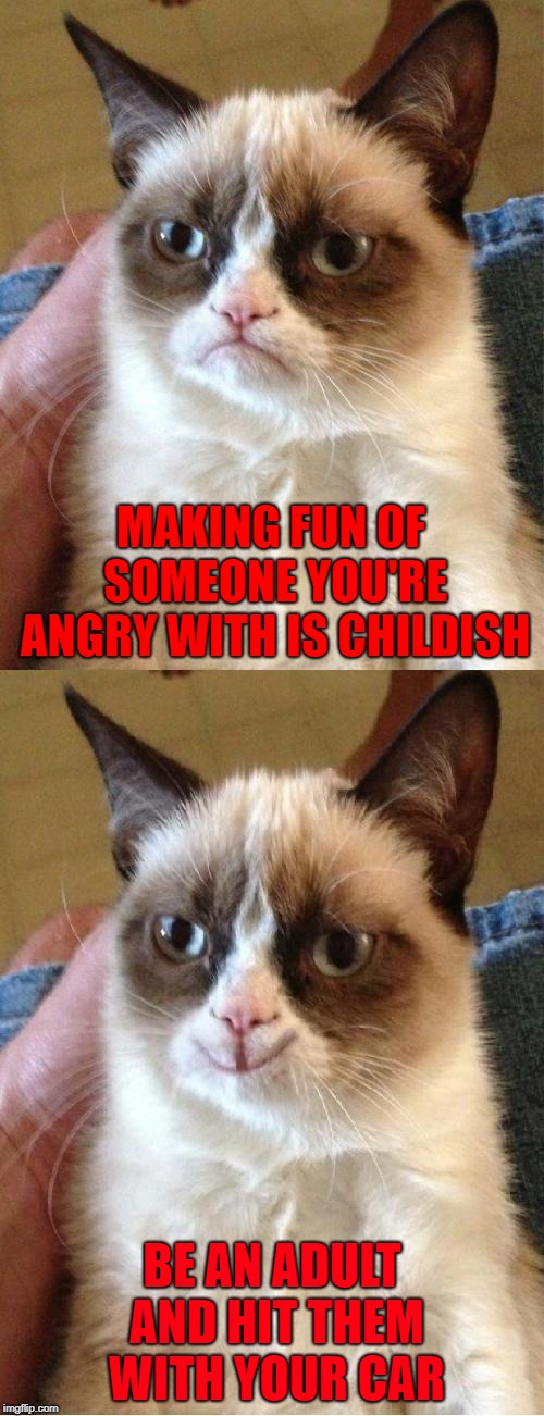 Just don't get seen!!! | MAKING FUN OF SOMEONE YOU'RE ANGRY WITH IS CHILDISH; BE AN ADULT AND HIT THEM WITH YOUR CAR | image tagged in grumpy cat 2x smile,memes,grumpy cat,funny,cats,revenge | made w/ Imgflip meme maker