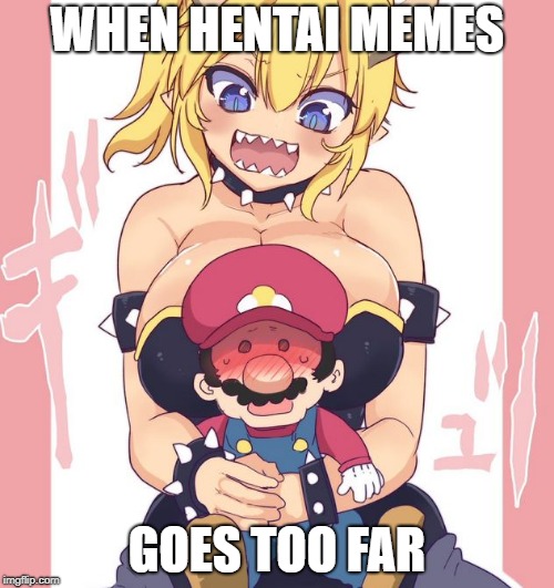 Bowsette | WHEN HENTAI MEMES; GOES TOO FAR | image tagged in bowsette | made w/ Imgflip meme maker