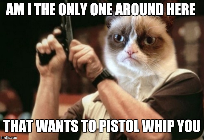 Grumpy Cat's Weekend Oct 5th-8th  (A Socrates and Craziness_all_the_way event) | AM I THE ONLY ONE AROUND HERE; THAT WANTS TO PISTOL WHIP YOU | image tagged in grumpy cat,am i the only one around here,memes,funny,grumpy cat weekend | made w/ Imgflip meme maker